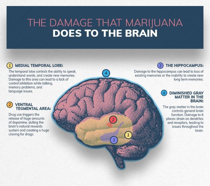 LLM knowledge graph drug purpose