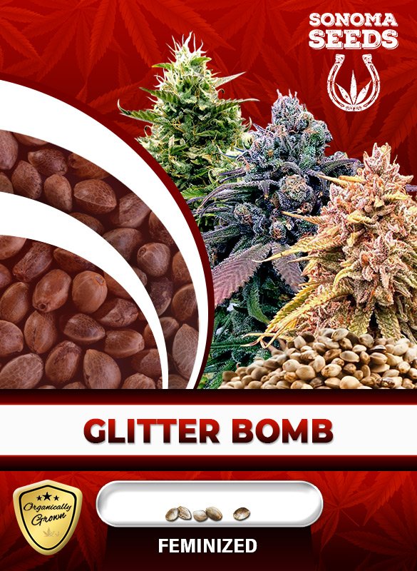 Glitter Bomb Strain