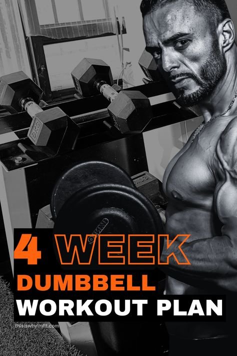 dumbbell workout plan PDF
