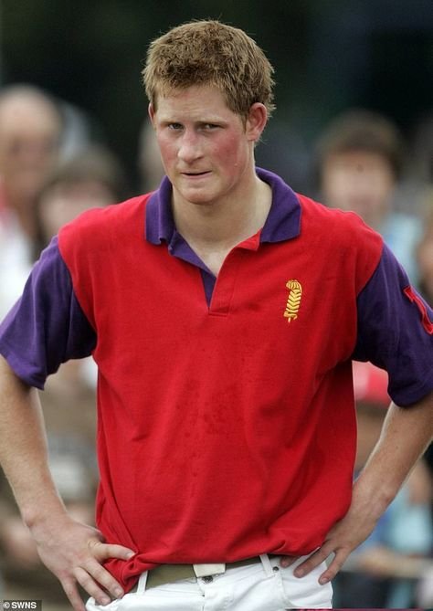 Prince Harry net worth
