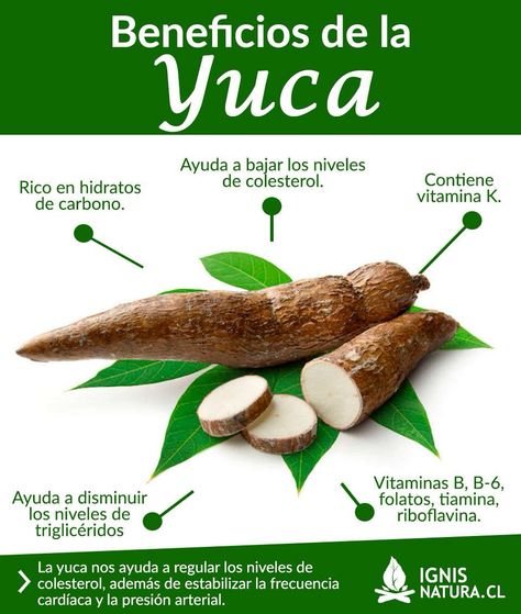 yuca
