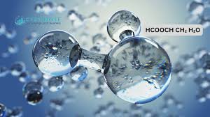 HCOOCH CH2 H2O